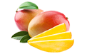 Mango Processing Machineries