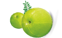 Amla Processing Machineries
