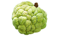 Custard Apple Processing Machineries