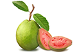 Guava Processing Machineries