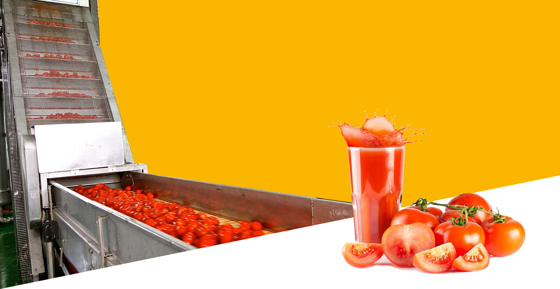 Anjoplus Machines, Mumbai
