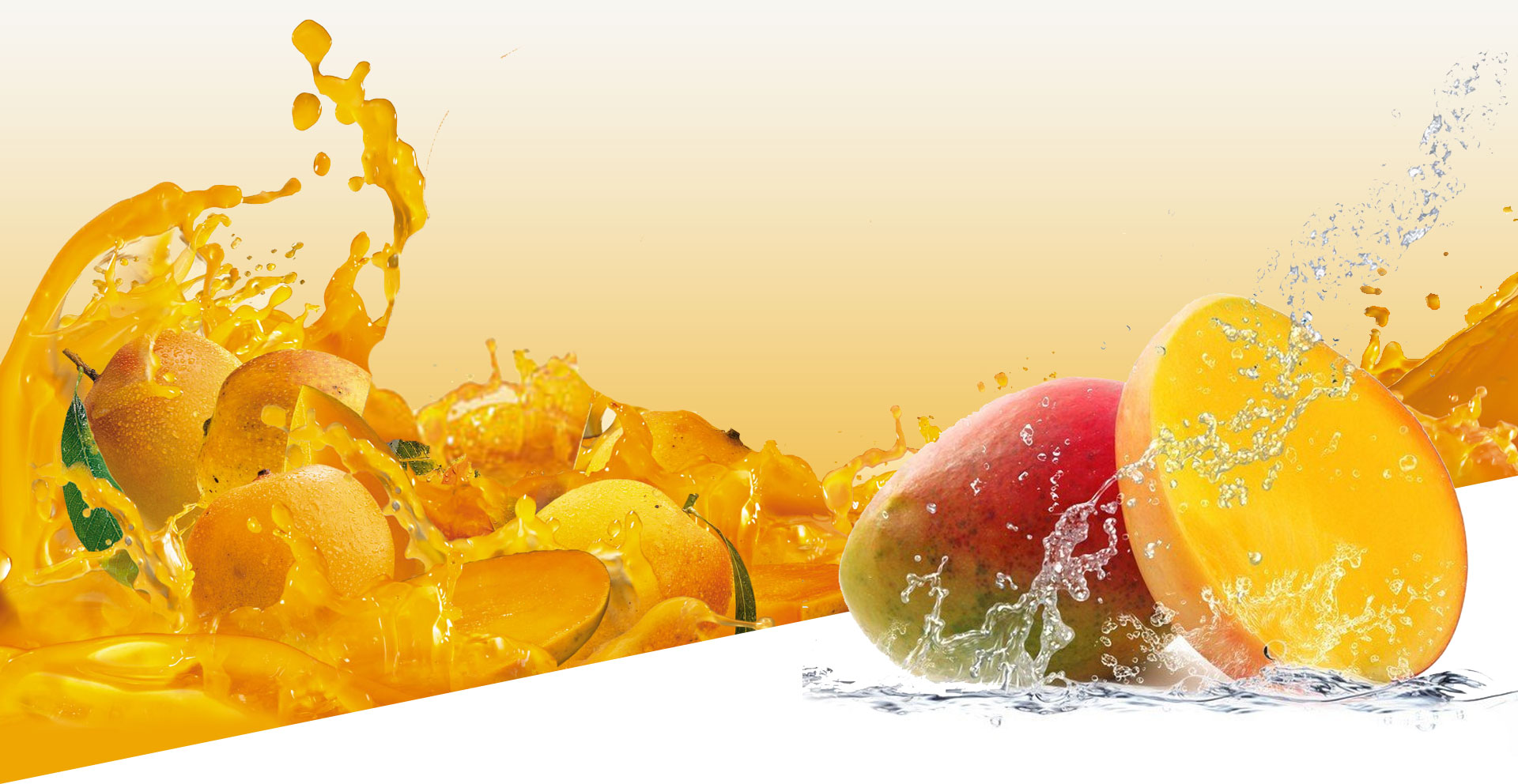 Anjoplus Machines, Mumbai