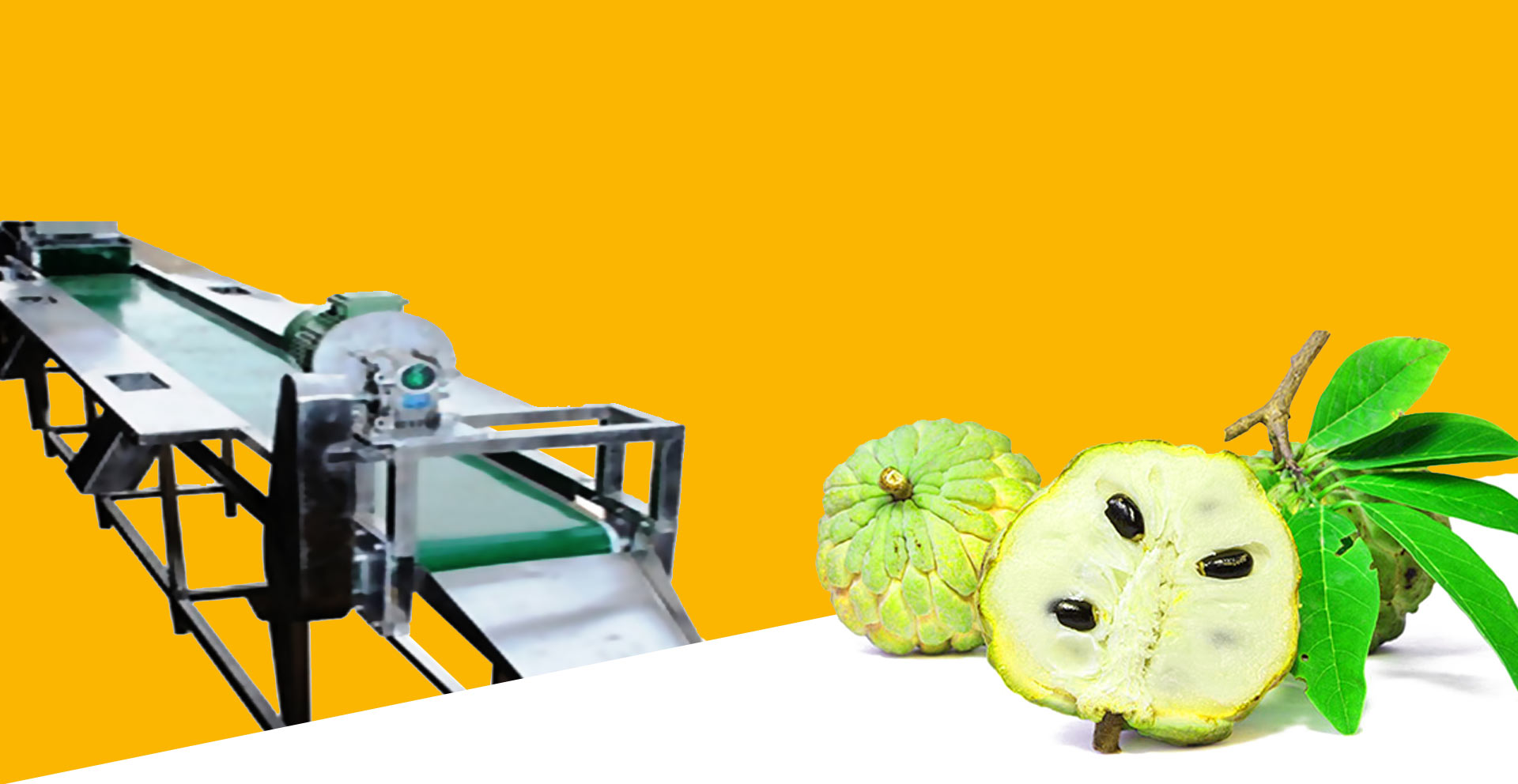 Anjoplus Machines, Mumbai