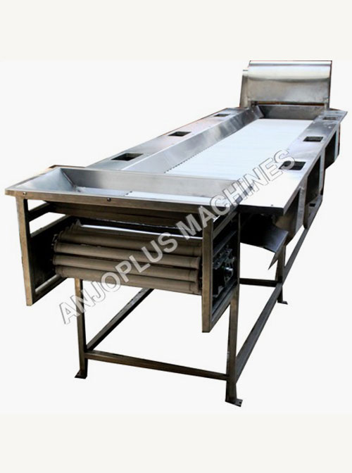 Roller Inspection Conveyor