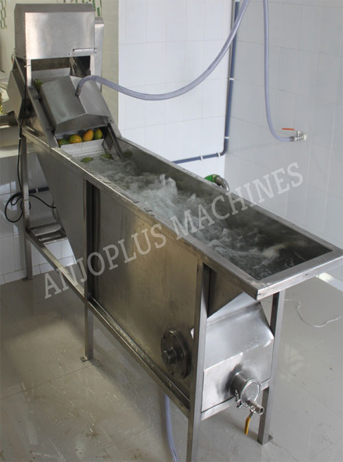Fruit Washer